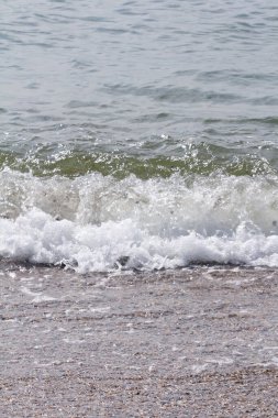 Sahilde dalgalar, sörf, deniz, yaz, dinlenme