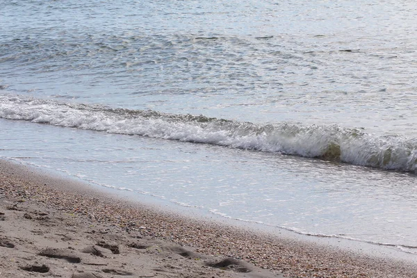 Deniz kabukları, kumsalda kum, denizde midyeler, sörf.