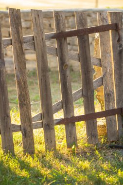 A fence of wooden boards in the rays of the sun