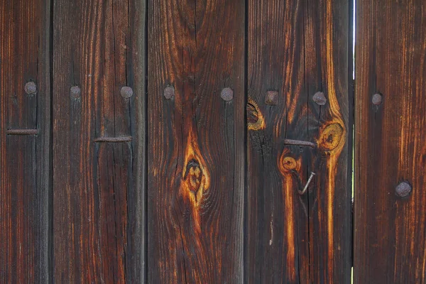 Ahşap doku arka plan çiti