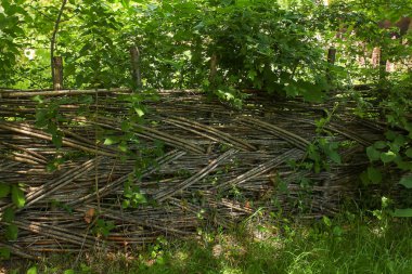 Ağaç dallarından yapılmış çitler.