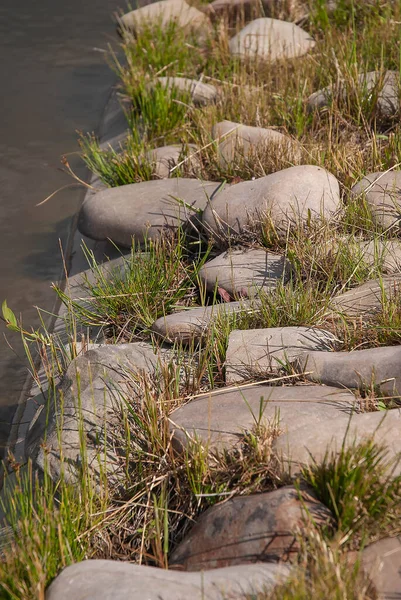 Smooth stones in summer day background