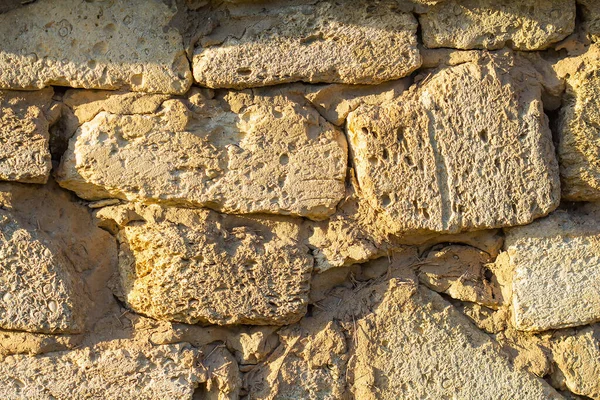 Brick wall shell background