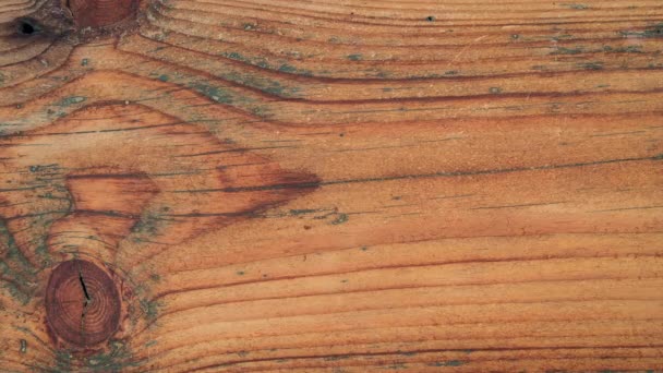 Concetto di ambiente. Spostare lettere di legno su uno sfondo di legno — Video Stock