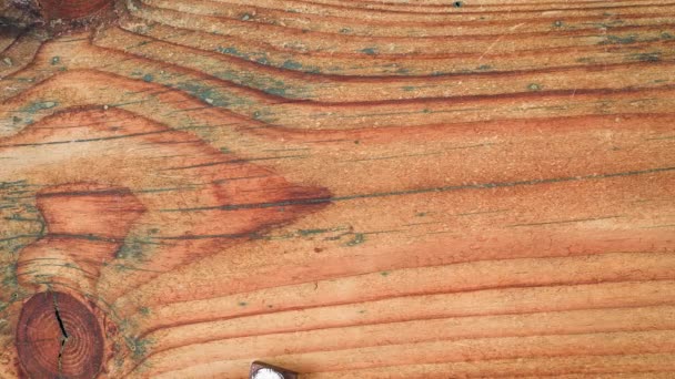 Ventas. Palabra, letras del alfabeto de madera en la mesa — Vídeo de stock