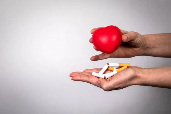 Καρδιαγγειακές παθήσεις και έννοια της υγείας. Τσιγάρα και μια κόκκινη λαστιχένια καρδιά σε γυναικεία χέρια — Φωτογραφία Αρχείου