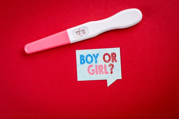 Rapaz ou rapariga. Bolha de fala com texto e texto positivo gravidez em um fundo vermelho — Fotografia de Stock
