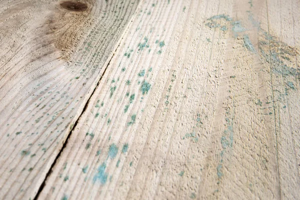 Wood texture surface with green mouldy spots — Stock Photo, Image