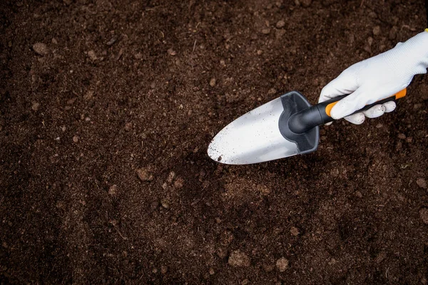 Diging the soil with a garden shovel to prepare for planting and seeding — ストック写真