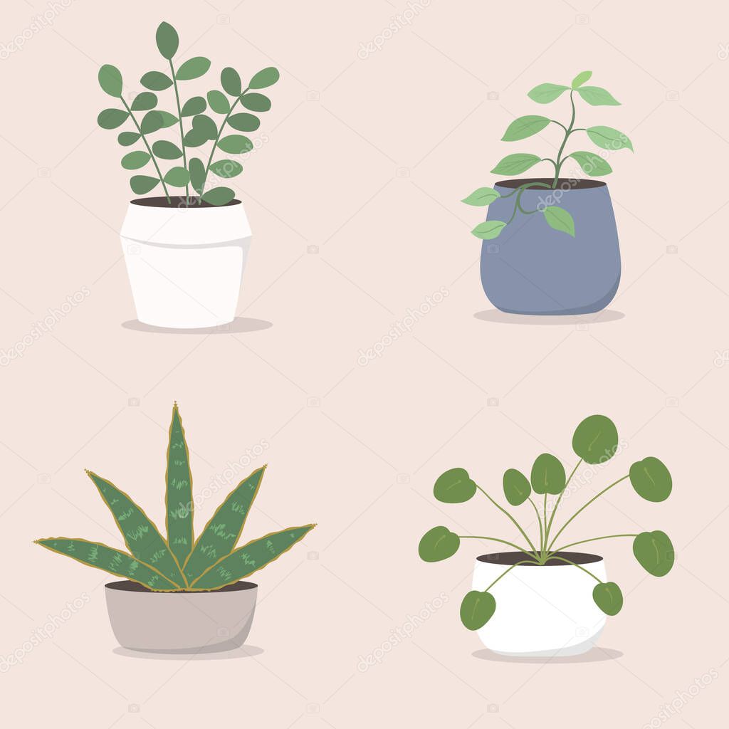 Tropical potted houseplant illustration set