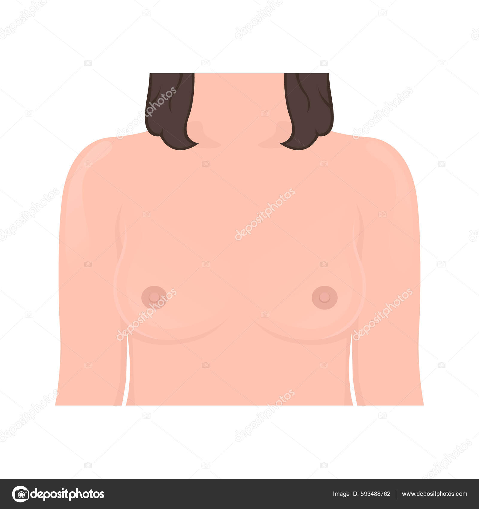Woman Chest Breast Illustration vetor(es) de stock de ©airtafolo@gmail.com  593488762