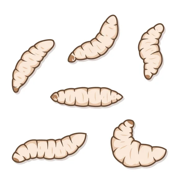 Illustrations Maggots Worms Isolated White Background — Vettoriale Stock