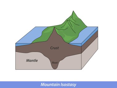Mountain Isostasy, mantle and water density scheme