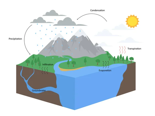 Diagram Water Cycle Nature Illustration — Stock Vector