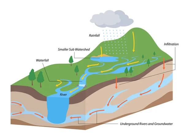 Watershed Water Basin System Mountain River Streams — Stockvektor