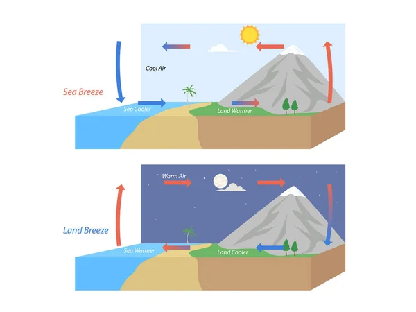 Illustrazione Della Circolazione Della Brezza Marina Terrestre — Vettoriale Stock