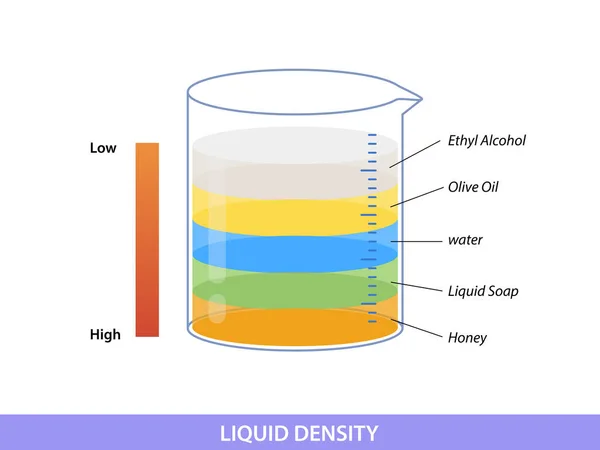 Concepto Experimento Científico Densidad Líquida Capas Fluidas Separadas — Archivo Imágenes Vectoriales