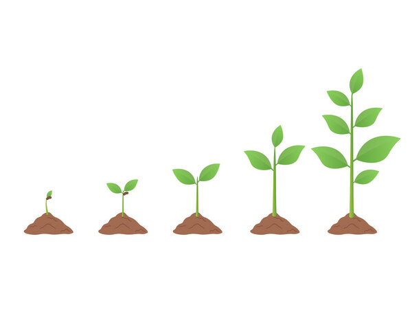 Sprout, plant, tree growing agriculture icons