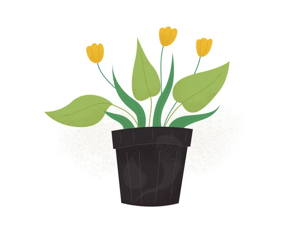 Maison Plantes Couleur Dessin Main Illustration — Image vectorielle