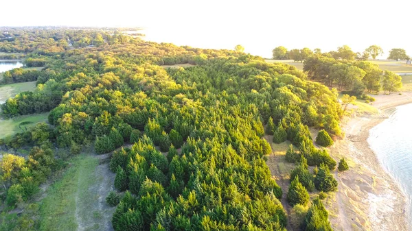 Vista aerea rigogliosi pini verdi al Ticky Creek Park, estremità settentrionale del lago di Lavon a Princeton, Texas, USA — Foto Stock