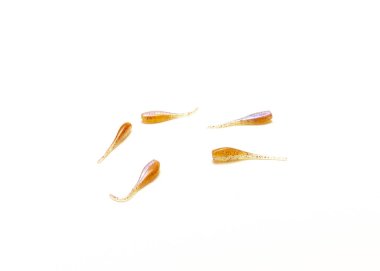 Beyaz arka planda izole edilmiş boktan balıkçılık için bir grup yumuşak plastik yem. Pembe dayanıklı balıklar olta takımları