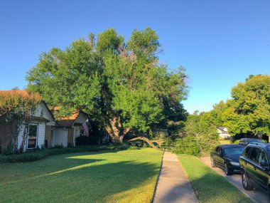 Dallas, Teksas, Amerika 'nın banliyölerindeki bir evin kaldırımında kırık dalları olan devrilmiş bir ağaç. Mahalle sokağına park edilmiş bir araba. Rüzgar hasar görmüş, sigorta talebi.