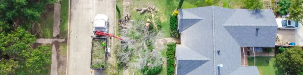 Panorama Vista Aerea Camion Lavoro Con Ascensore Abbattendo Albero Casa — Foto Stock