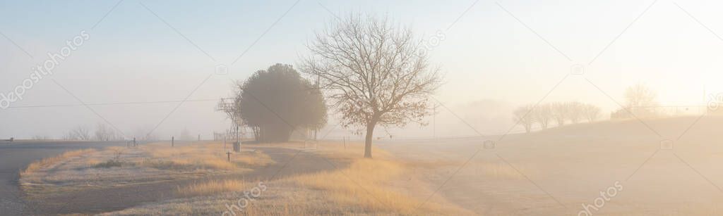 Panorama scenic view of rural winter landscape in foggy morning with small curved paved road, grassy land and uphill lined tree in distance. Beautiful countryside Cartwright, Oklahoma, America