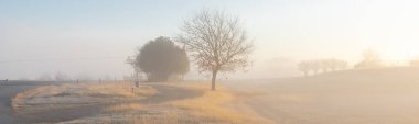 Sisli bir sabahta kırsal manzaranın panorama manzarası küçük kıvrımlı asfalt yol, çimenli arazi ve yokuş yukarı uzanan ağaç. Güzel kırsal bölge Cartwright, Oklahoma, Amerika
