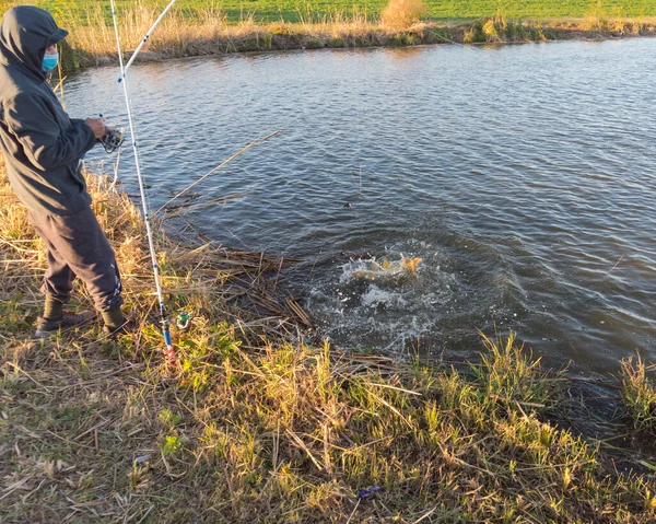 Unidentified Asian man with hoodie and mask reeling in a large common carp from the bank — стокове фото