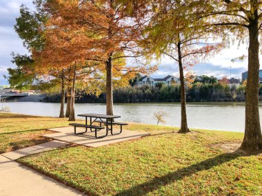 Kel selvi ağacının altında piknik masası Irving, Teksas, Amerika 'daki nehir kenarındaki apartmanın arka bahçesine. Sonbahar yeşillikleri ve temiz beton yolu olan deniz kıyısındaki kiralık konutlar.