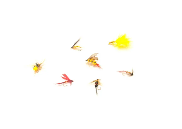 Wide Variety Collection Fly Fishing Lures Different Files Colors Hook — ストック写真