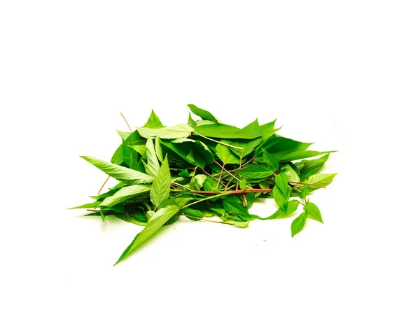 Organic Pile Jute Mallow Leaves Branches Isolated White Background Homegrown — ストック写真