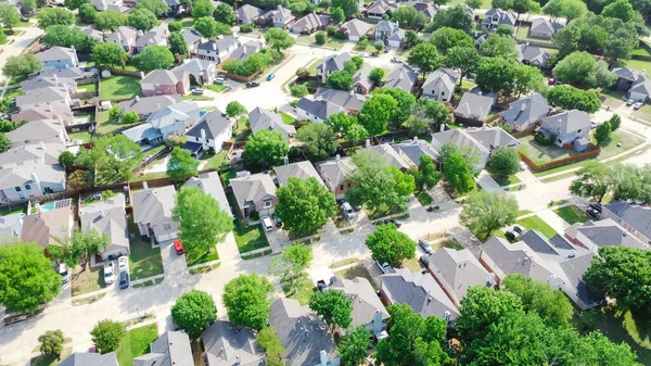 Top View Established Neighborhood Matured Trees Two Story Houses Flower — 스톡 사진