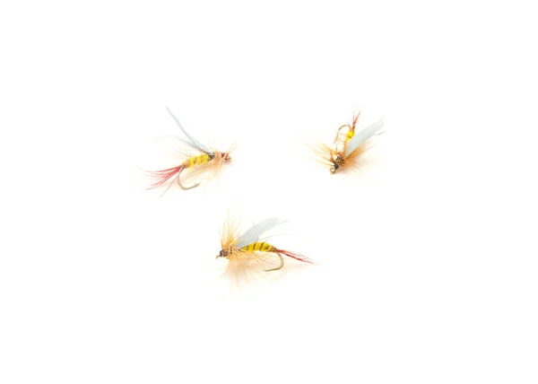 Three Fly Fishing Lures Different Files Colors Hook Sizes Isolated — Fotografia de Stock