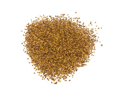 Beyaz arka planda büyük bir pancar tohumu yığını veya pancar kökü var. Kurutulmuş pancar tohumları büyümeye hazır..