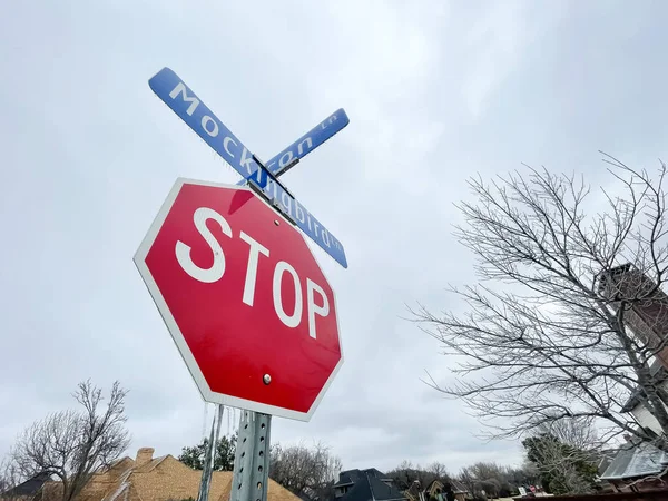 美国得克萨斯州北部 街道名称标识和红色停车标识上挂满了冰雪 房屋背景为住宅 恶劣天气下的危险道路状况 — 图库照片