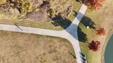Top view local residents exercising walking on concrete pathway road fork in sunny autumn morning with colorful fall foliage near Dallas, Texas, US. Healthy outdoor workout lifestyle