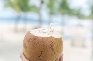 Male hand holding fresh brown coconut drink with straw isolated on tropical beach background. Organic coconut juice with selective focus coconut trees in Quang Ninh province, Vietnam.