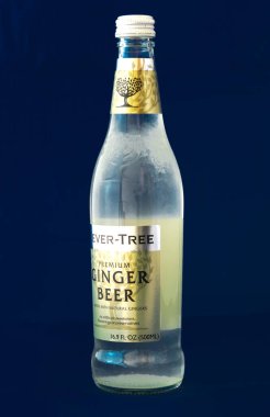 COPPELL, TX, US-SEPT 6, 2022:Side view of 500ml non-alcoholic Fever-Tree Ginger Beer glass bottle isolated blue background. Fevertree Drinks plc British producer of premium drink mixers from 2004