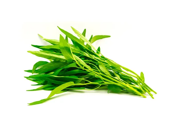 Bunch Fresh Cut Water Spinach Kangkung Plant Tender Shoots Isolated — Stock Photo, Image