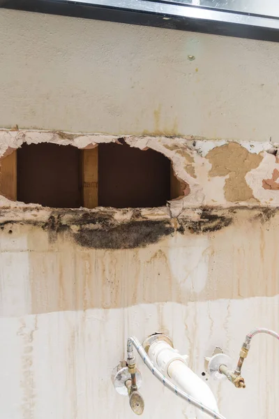 Drywall hole damage with mold, mildew above the drainage pipeline and faucet connectors in bathroom of residential house in Texas, America. Studs seen through the hole of gypsum plywood
