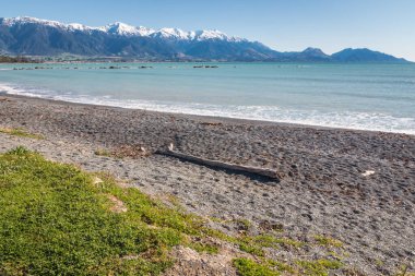 Kaikoura 'daki boş çakıl taşı plajı ve Kaikoura Deniz Ödülleri mesafesi, Güney Adası, Yeni Zelanda