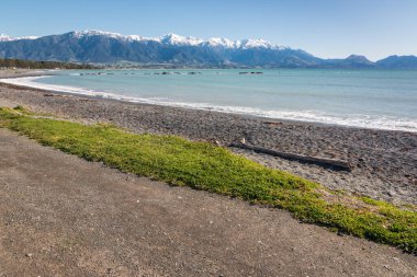 Kaikoura plajı karla kaplı Kaikoura Sıradağları, Güney Adası, Yeni Zelanda