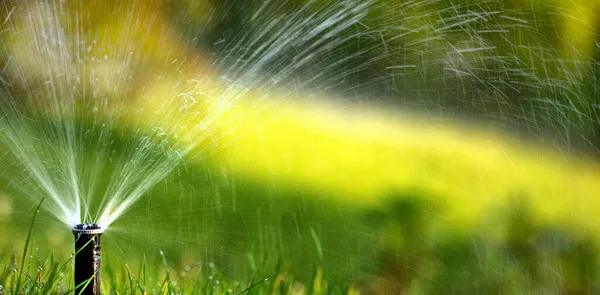 Het Mondstuk Van Het Automatische Besproeiingssysteem Besproeit Een Groen Gazon — Stockfoto