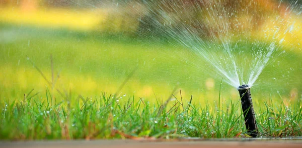 Nozzle Automatic Watering System Waters Green Lawn — Stock Photo, Image