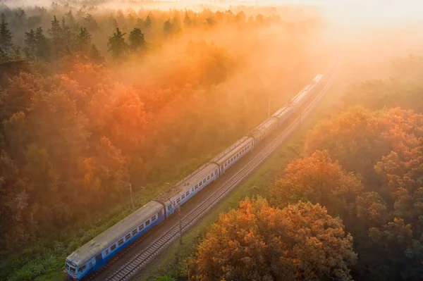 Dawn Het Bos Waar Spoorlijn Doorheen Loopt Prachtige Zomer Helder — Stockfoto