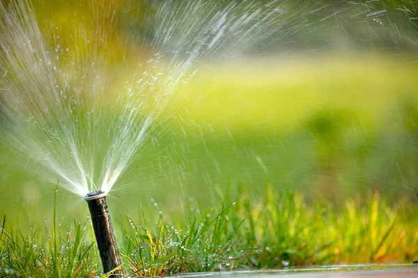 Nozzle Automatic Watering System Waters Green Lawn — Stock Photo, Image