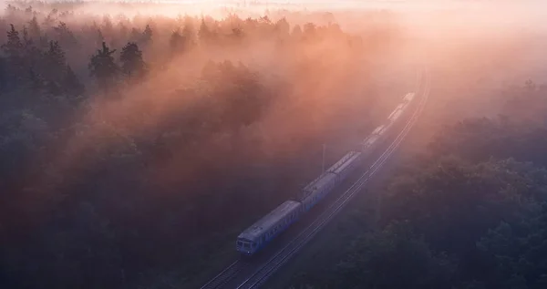 Світанок Над Лісом Через Який Проходить Залізнична Лінія Чудовий Літній — стокове фото