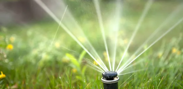 Nozzle Automatic Watering System Waters Green Lawn Royalty Free Stock Images